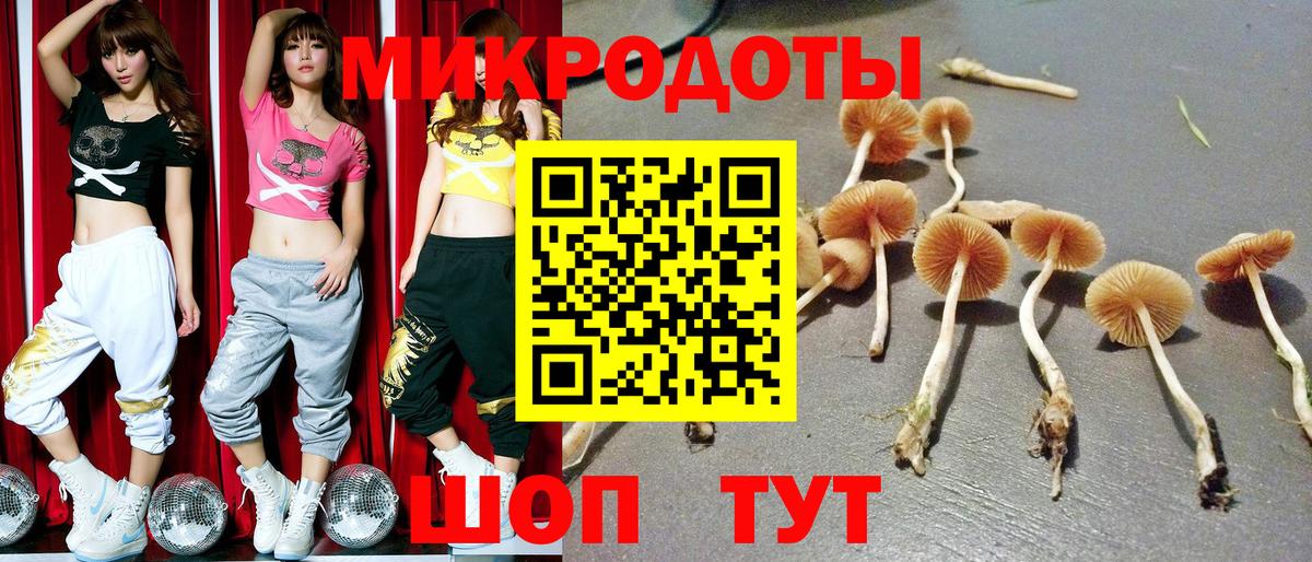 Галлюциногенные грибы Magic Shrooms Саянск