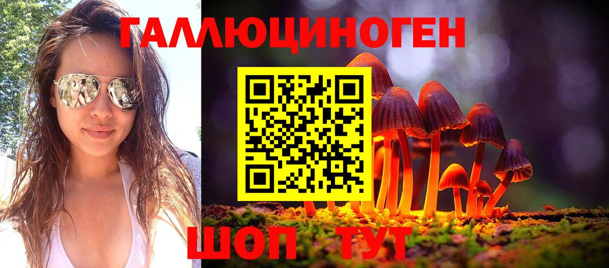 Саянск  Псилоцибиновые грибы Psilocybine cubensis  наркошоп  Вход с VPN 